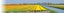 header.jpg