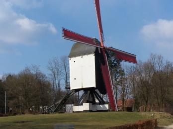 Erkenning van de vzw Koninklijke Vereniging voor Natuur- en Stedenschoon (KVNS)