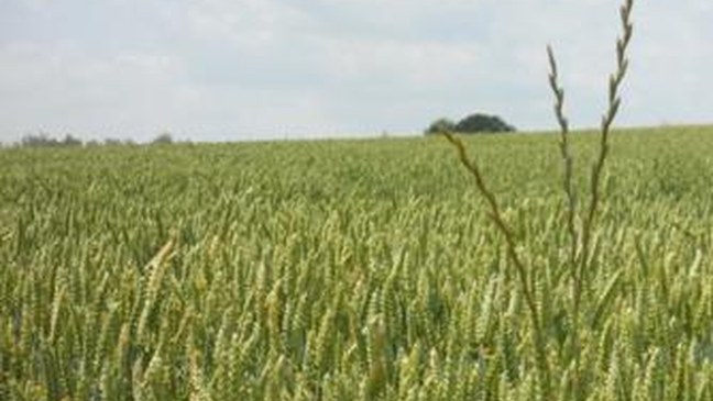 Het verzameldecreet landbouw, leefmilieu en natuur en ruimtelijke ordening 2012 (met SERV en SALV)