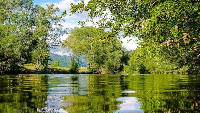 Verzameldecreet Omgeving, leefmilieu, natuur en ruimtelijke ordening 2022 (met SERV)