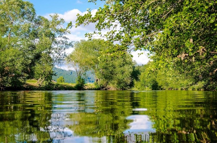 Verzameldecreet Omgeving, leefmilieu, natuur en ruimtelijke ordening 2022 (met SERV)