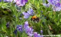 Verzameldecreet Omgeving, Natuur en Landbouw (met SERV en SALV)