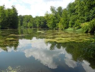 Voorontwerp van decreet houdende diverse bepalingen inzake leefmilieu en natuur (verzameldecreet) (met SERV en SALV)