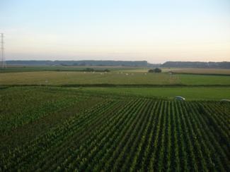 Wijziging van diverse bepalingen van het besluit van de Vlaamse Regering van 8 juli 2005 tot instelling van een bedrijfstoeslagregeling en tot vaststelling van bepaalde steunregelingen voor landbouwers en tot toepassing van de randvoorwaarden