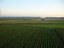 landbouwgrond.jpg