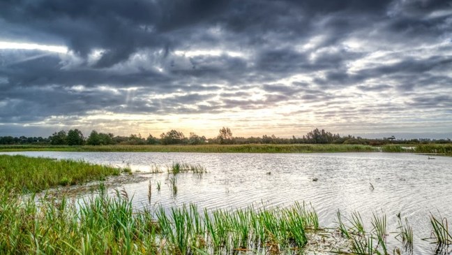 Koolstofopslag via (semi-)natuurlijke processen