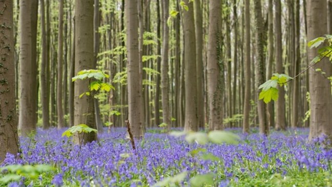 Samenstelling adviescommissie natuurbeheerplannen