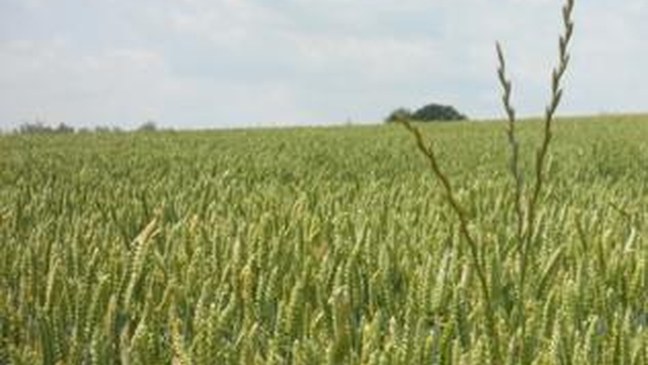 Voorontwerp van decreet tot vaststelling van de regels inzake de verdeling van het Vlaams Plattelandsfonds (met SALV)
