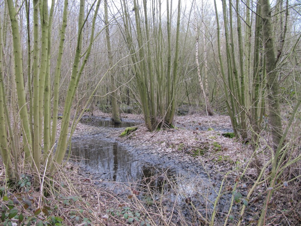 De evaluatie van de werking van de regionale landschappen in 2009