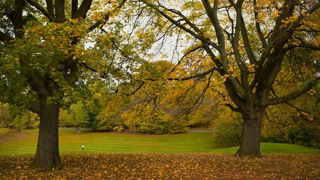 Decreet Vlaamse parken en landschapszorg (met SARO)