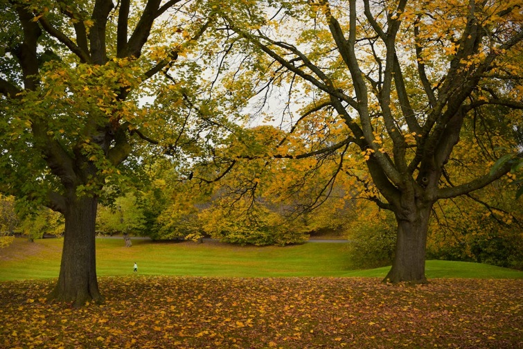 Vlaamse parken en algemene landschapszorg