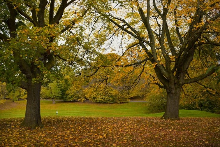 Vlaamse parken en algemene landschapszorg