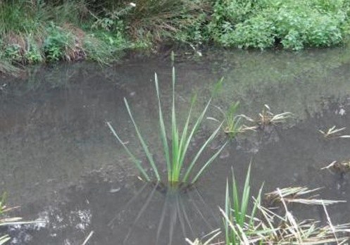 Derde uitbreiding van het erkend natuurreservaat E-201 “Molse Nete” te Balen, Geel en Mol 