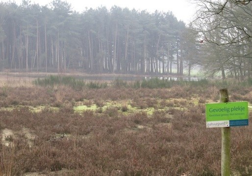 Derde uitbreiding van het erkend natuurreservaat E-295 “Schupleer-Vuilvoort” te Grobbendonk, Herentals en Vorselaar 