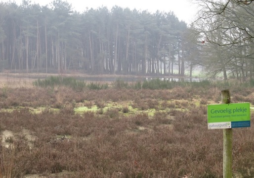 derde uitbreiding van het erkend natuurreservaat E-295 “Schupleer-Vuilvoort” te Grobbendonk, Herentals en Vorselaar 