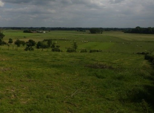 Eerste uitbreiding van het erkend natuurreservaat E-381 “Breemeersen” te Heuvelland