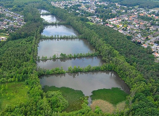 Erkenning van het privaat natuurreservaat E-457 “Caetswijers” te Bilzen, Diepenbeek en Genk