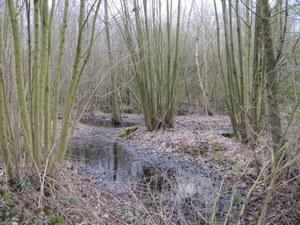 Evaluatie van de werking van de Regionale Landschappen in 2010