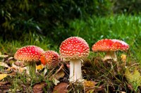 natuurbeheerplannen fiscaal