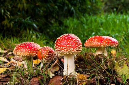 natuurbeheerplannen fiscaal