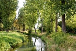 Ontwerpbesluiten van de Vlaamse Regering tot aanwijzing van speciale beschermingszones in toepassing van de Habitat- en Vogelrichtlijn, en tot vaststelling van bijhorende instandhoudingsdoelstellingen (14 laatste rapporten) (met SALV)