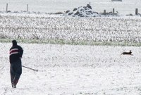 jacht bij sneeuw.jpg