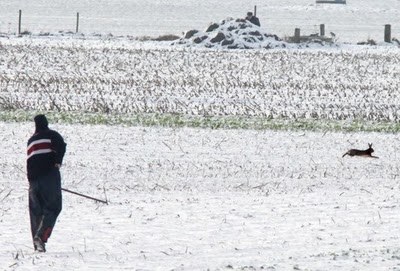 jacht bij sneeuw.jpg