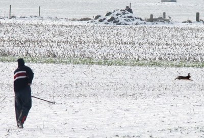 jacht bij sneeuw.jpg