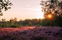 Plan-MER scoping van het Natuurherstelplan (met SARO, SERV en SALV)