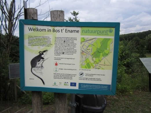 Toegankelijkheidsregeling voor het erkend natuurreservaat E-098 “bos ‘t Ename” te Oudenaarde