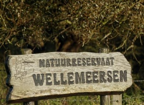 toegankelijkheidsregeling voor het erkend natuurreservaat E-125 “Wellemeersen” te Aalst en Denderleeuw
