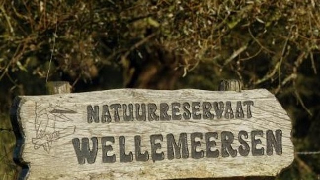 Toegankelijkheidsregeling voor het erkend natuurreservaat E-125 “Wellemeersen” te Aalst en Denderleeuw