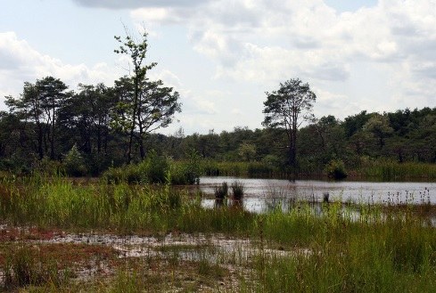 Toegankelijkheidsregeling voor het erkend natuurreservaat E-228 “Buitengoor” te Mol