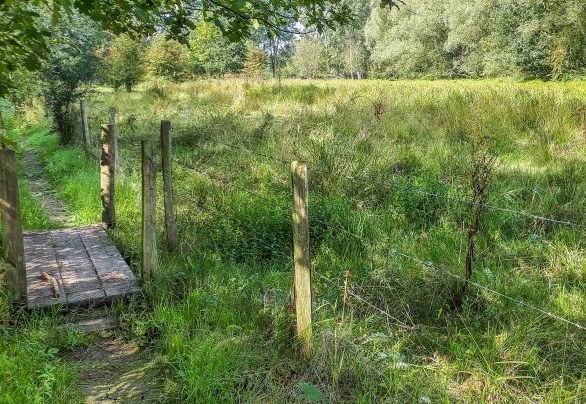 Toegankelijkheidsregeling voor het erkend natuurreservaat E-287 “Boelaremeersen” te Geraardsbergen