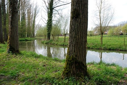 Toegankelijkheidsregeling voor het erkend natuurreservaat E-355 “Bovenlopen van de Zwalm” te Brakel