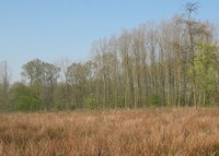 Toegankelijkheidsregeling voor het erkend natuurreservaat E-360 “Kortelake” te Geraardsbergen