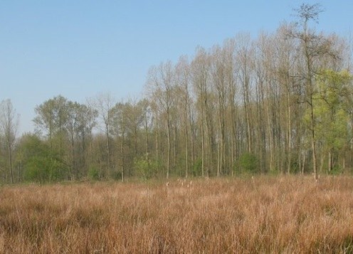 Toegankelijkheidsregeling voor het erkend natuurreservaat E-360 “Kortelake” te Geraardsbergen