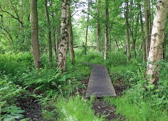 Vierde uitbreiding van het natuurreservaat E-140 “Winkelsbroek – De Dongen” te Turnhout en Kasterlee