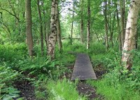 Vierde uitbreiding van het natuurreservaat Winkelsbroek - De Dongen