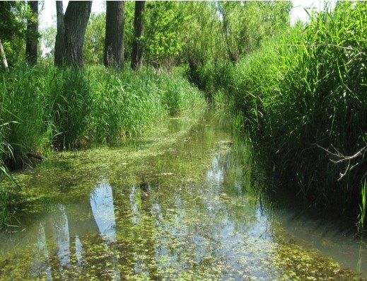 Vierde uitbreiding van het natuurreservaat E-156 Vallei van de Grote Nete te Herselt, Hulshout en Westerlo