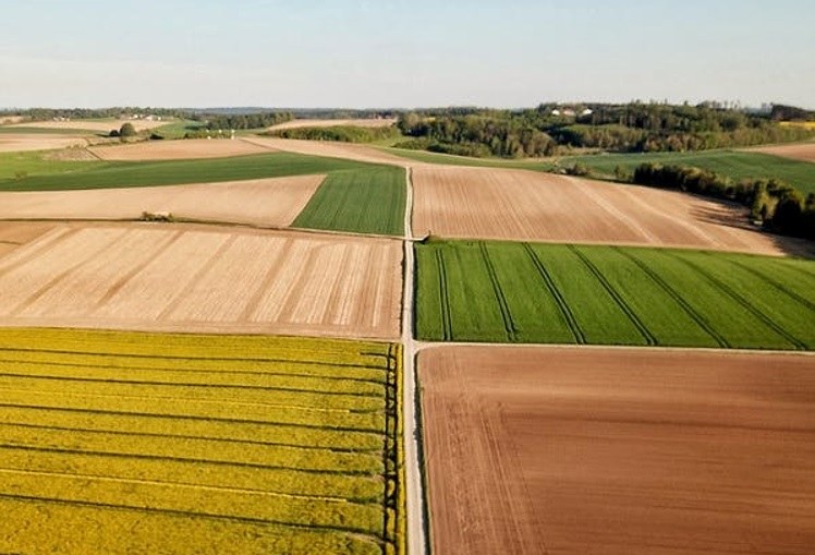 Strategisch Plan Gemeenschappelijk Landbouwbeleid (GLB) 2023-2027 (met SALV)