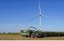 De Vlaamse klimaatstrategie 2050 – LULUCF en landbouw