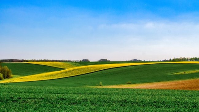 Ontwerpstrategie Vlaams Gemeenschappelijk Landbouwbeleid (GLB) 2021-2027