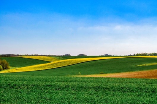 Ontwerpstrategie Vlaams Gemeenschappelijk Landbouwbeleid (GLB) 2021-2027