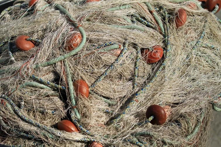 Verbod op het gebruik van warrelnetten en kieuwnetten in de Vlaamse strandzone ter bescherming van zeezoogdieren