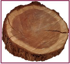 Voorontwerp van instemmingsdecreet met de internationale overeenkomst van 2006 inzake tropisch hout (samen met SARiV)