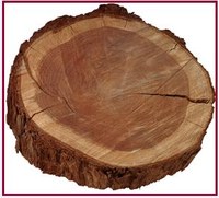 tropisch hout.jpg