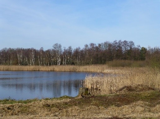 Zesde uitbreiding van het erkend natuurreservaat E-004 “De Maten” te Diepenbeek en Genk