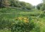 Zesde uitbreiding van het erkend natuurreservaat E-087 “Bronnen van het Heuvelland” te Heuvelland en Poperinge
