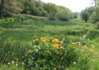 Zesde uitbreiding van het erkend natuurreservaat E-087 “Bronnen van het Heuvelland” te Heuvelland en Poperinge